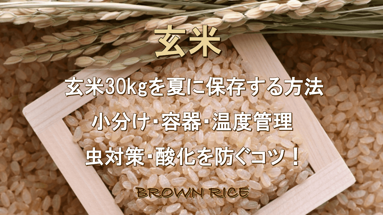 玄米 30kg 玄米保存冷蔵庫 ホシザキ 玄米保冷庫 玄米袋30kg 6袋 良品 