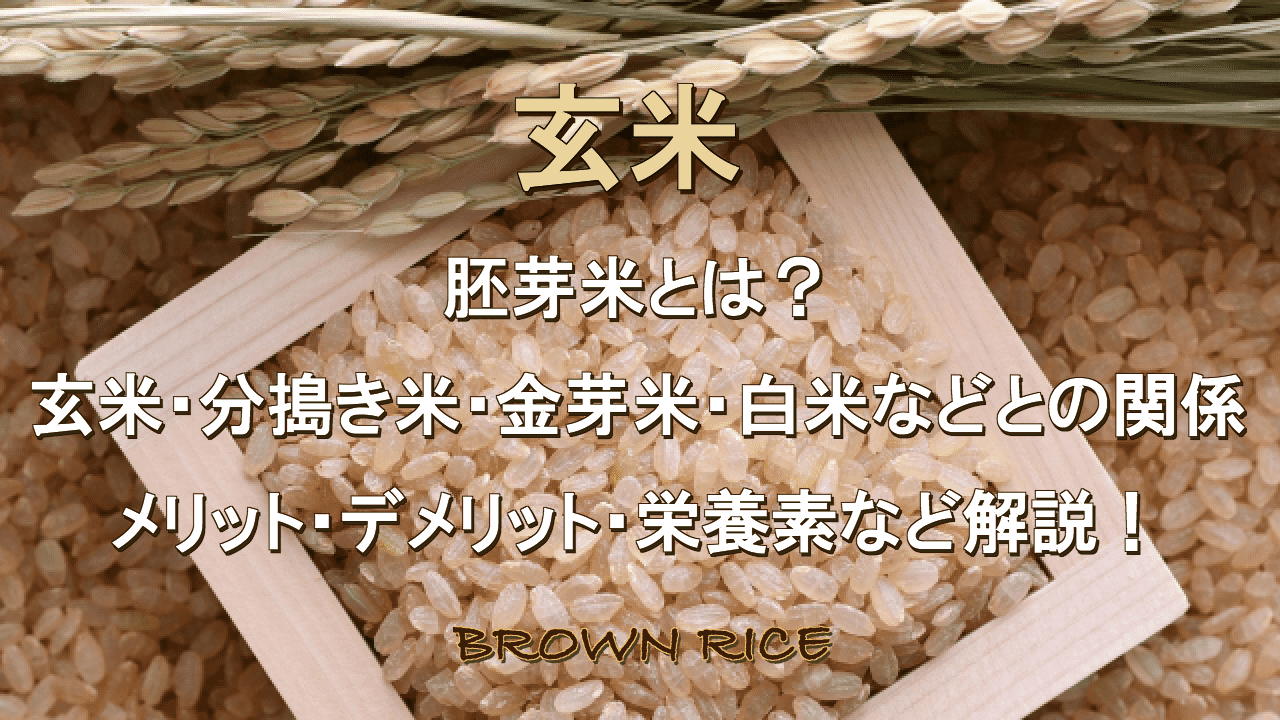 胚芽 米 体 に 悪い