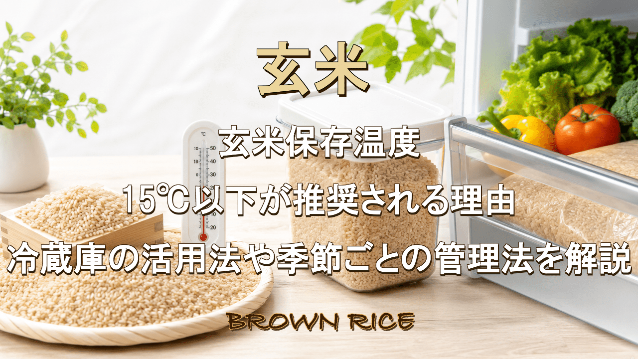 玄米保存の温度管理完全ガイド｜美味しさを守る適温と保管環境｜玄米を 
